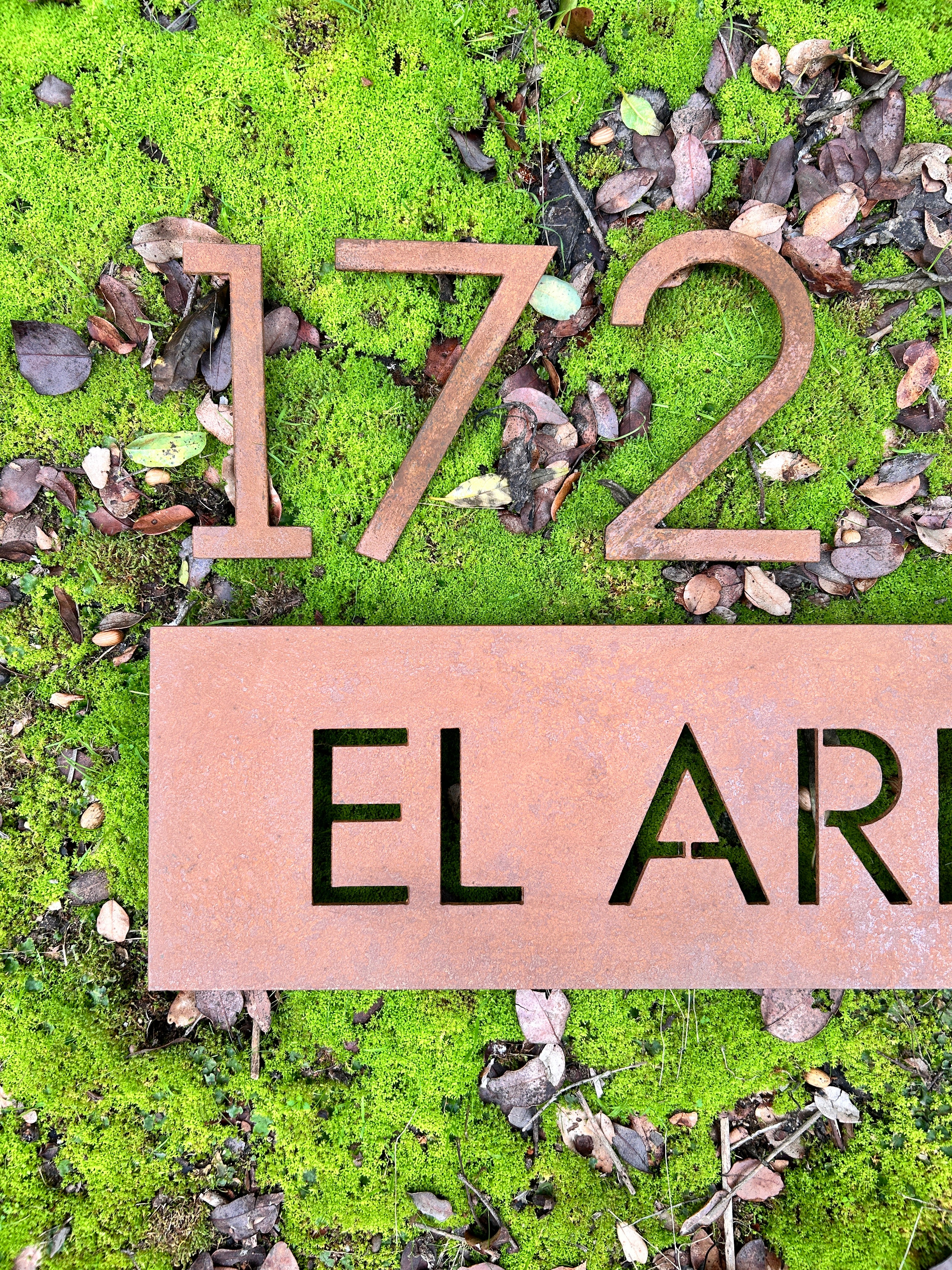 Número Suelto y Placa Nombre