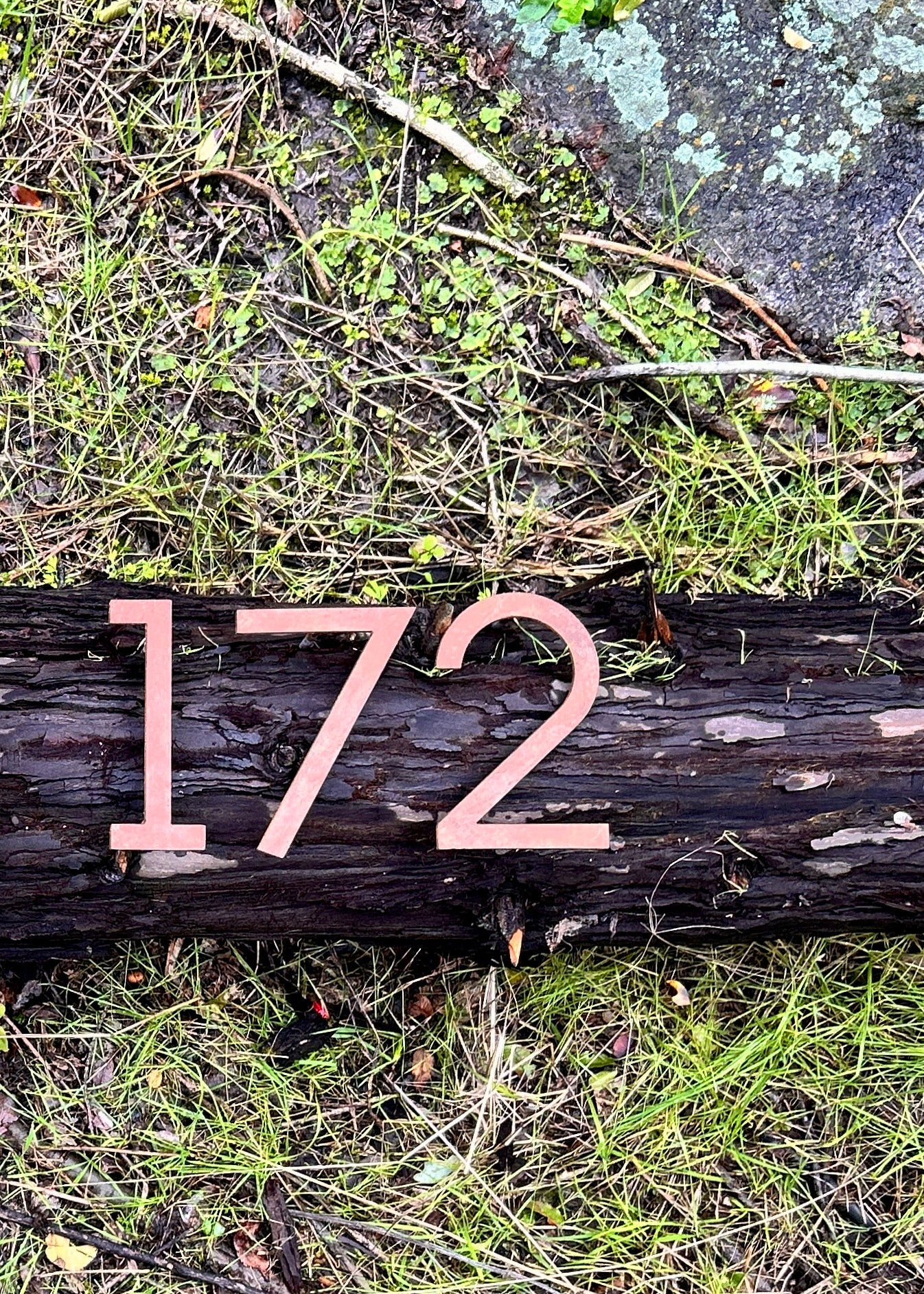 Número Suelto y Placa Nombre