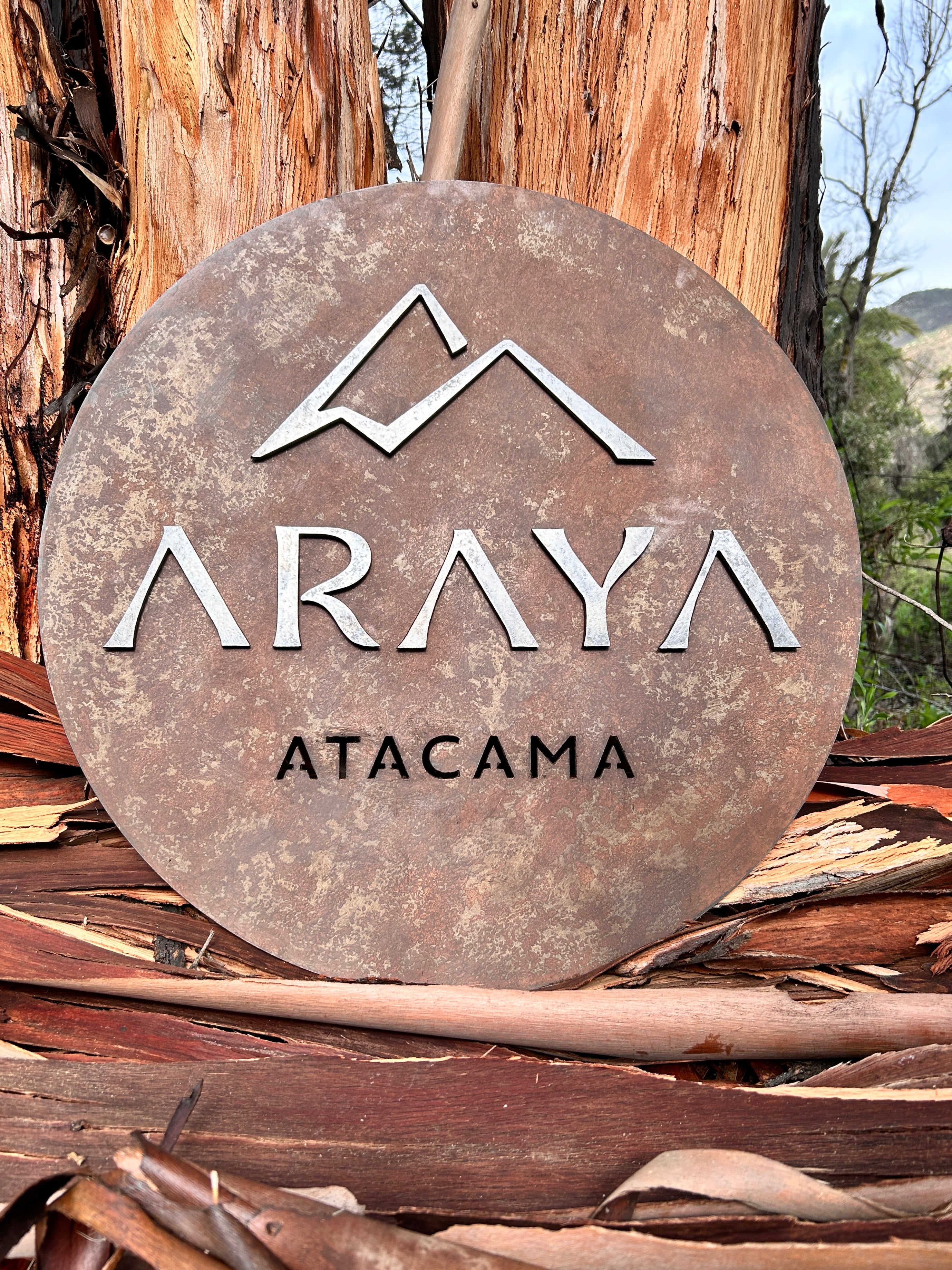 Letrero Personalizado Metal - Señalética Artesanal Negocio y Hogar