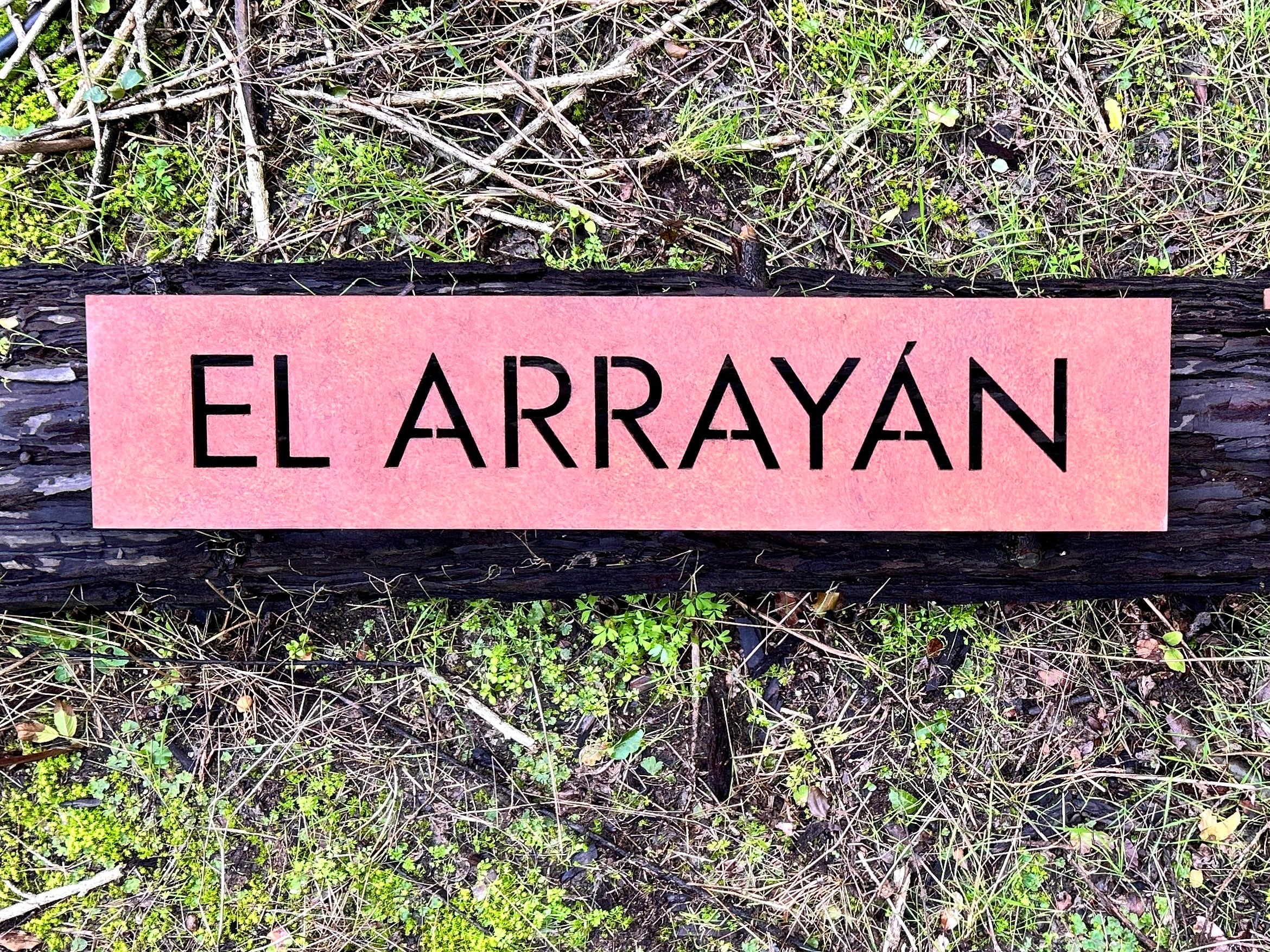 Número Suelto y Placa Nombre