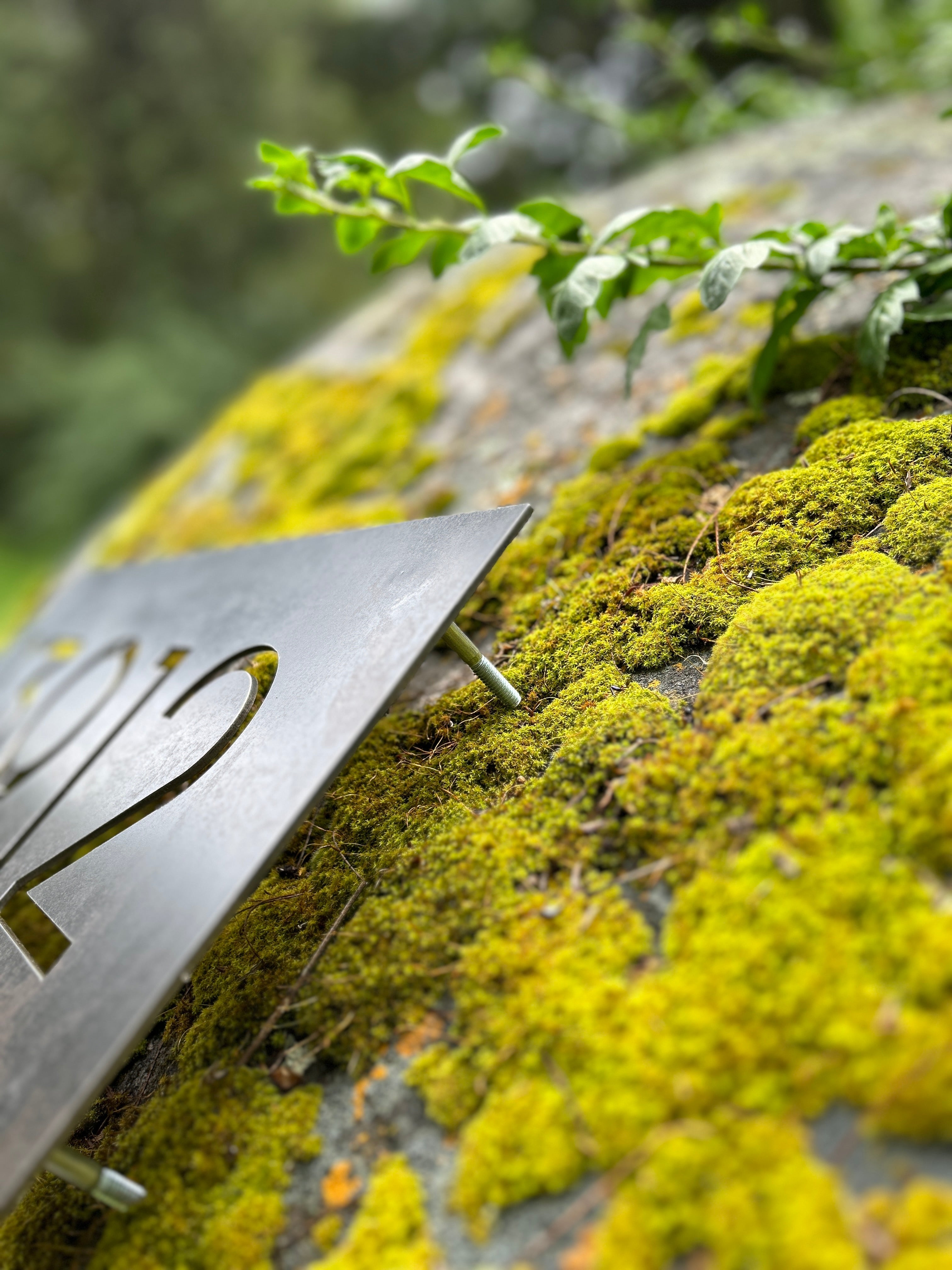 Número Calado en Placa Número