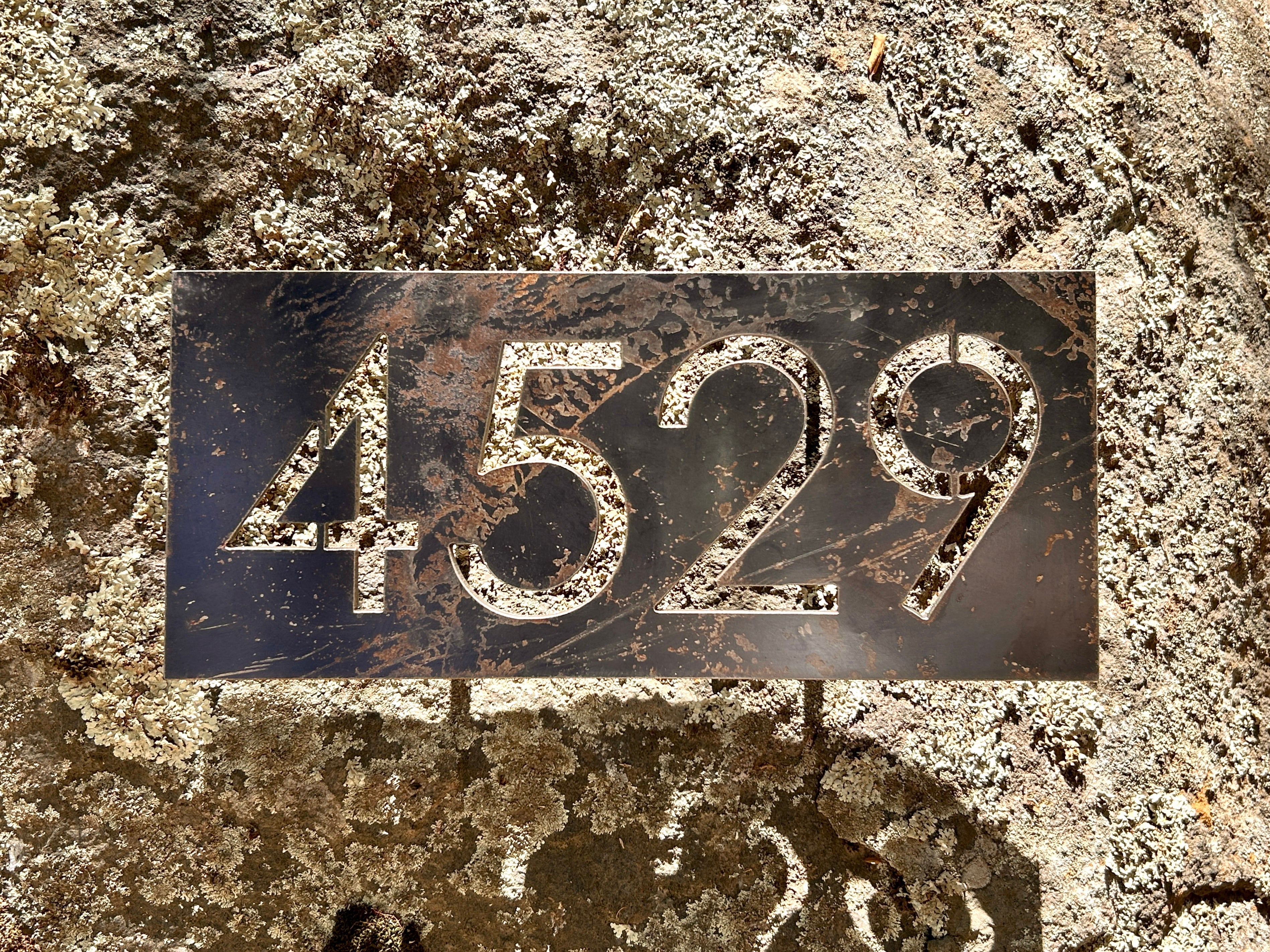 Número Calado en Placa Número