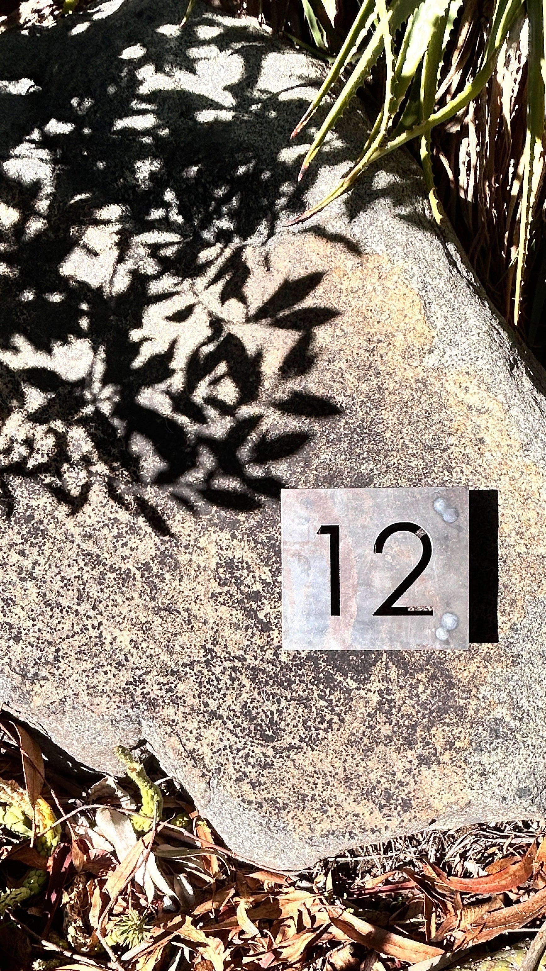 Número Calado en Placa Número