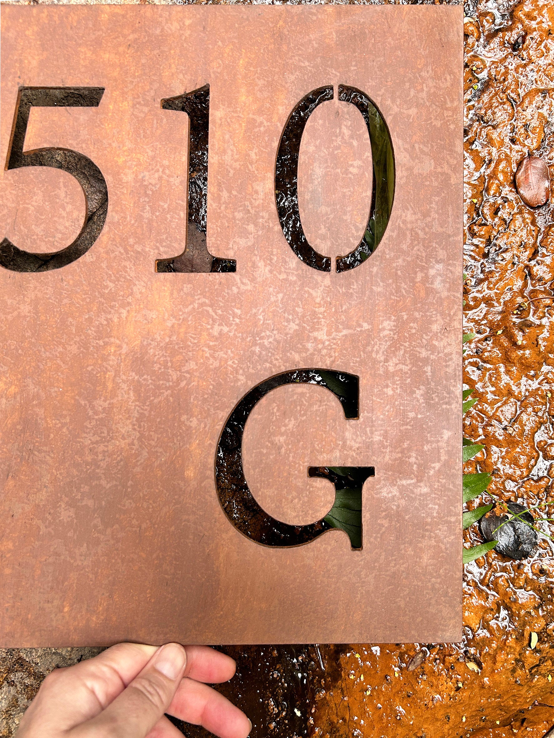 Número Calado en Placa