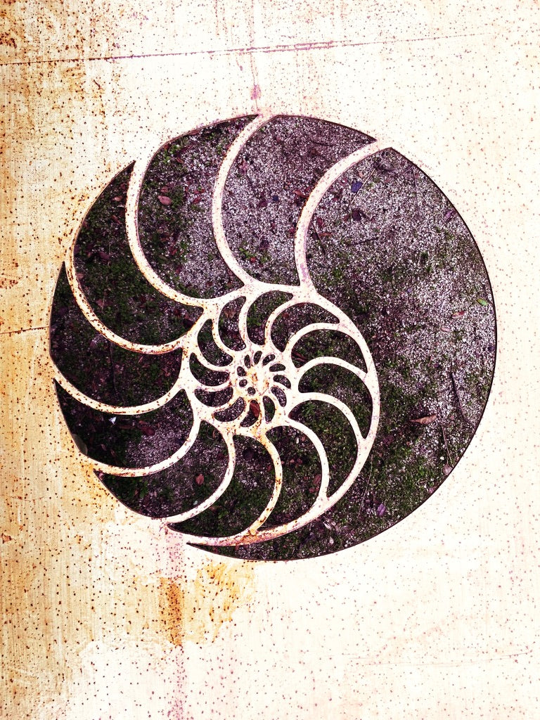 Colgante artesanal caracola nautilus metal negro decoración hogar Chile