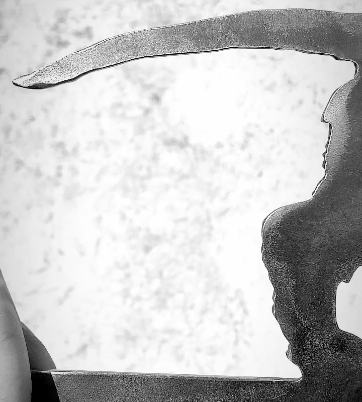 Silueta Compañía Fiel